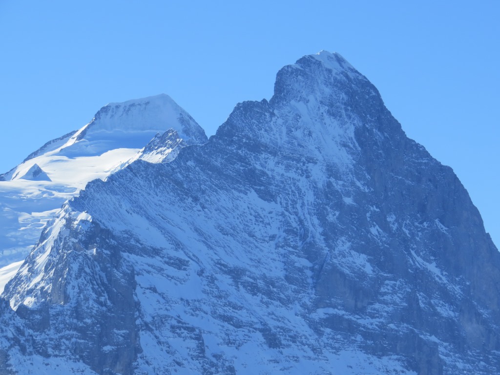 Blick auf Mönch und Eiger mit der gewaltigen Eigernordwand