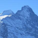 Blick auf Mönch und Eiger mit der gewaltigen Eigernordwand