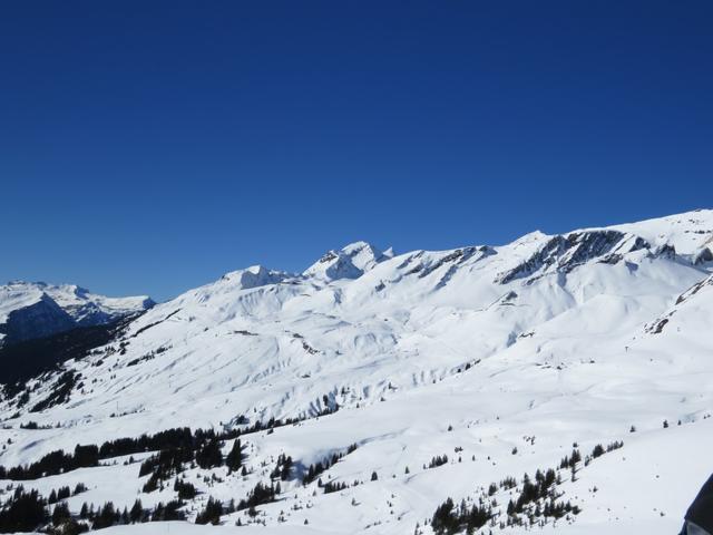 sehr sonnig sieht man rechts den Hang in Richtung Grindelwald First