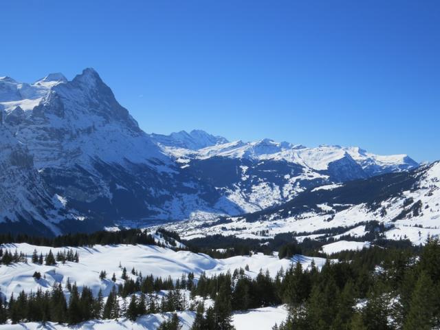 und nicht zu vergessen der fantastische Tiefblick auf Grindelwald, darüber steht mächtig der Eiger