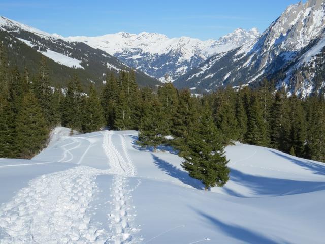 ...und weiter über traumhaftes Gelände nach Breitenmoostor 1784 m.ü.M.