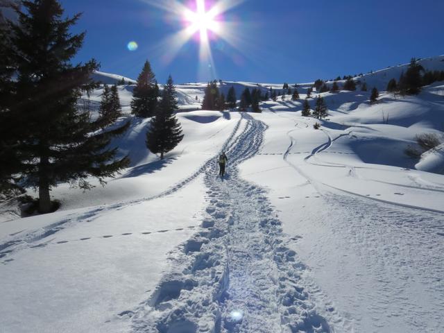 schöner Schneeschuhlaufen als hier ist kaum möglich