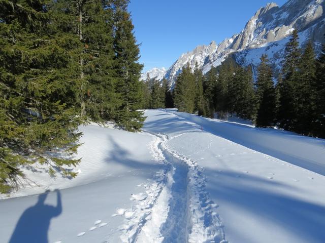 vor uns eine schön gezogene Spur, rechts von uns die Engelhörner was möchte man noch mehr