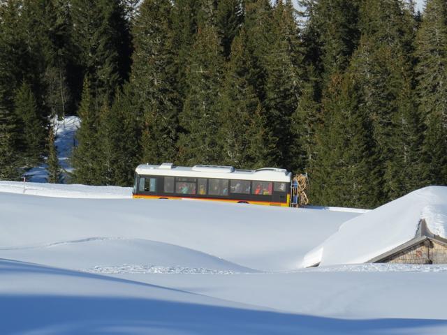 von der Schwarzwaldalp kommend fährt ein Postauto hinauf zur Grossen Scheidegg