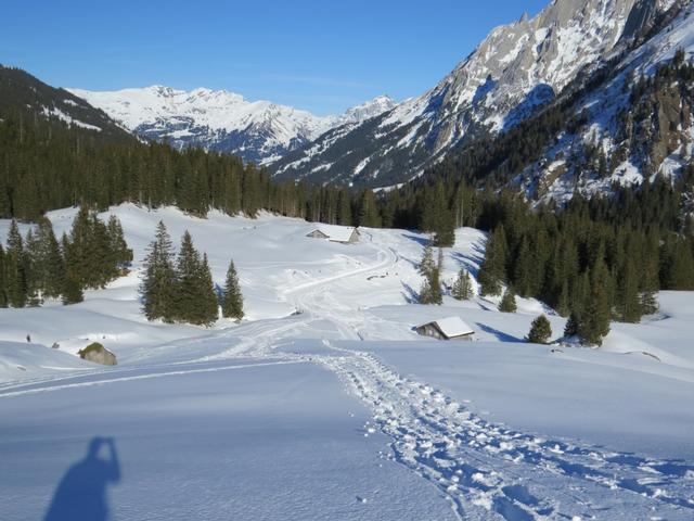 ...und Schwandboden 1617 m.ü.M...