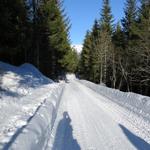 neben der Strasse laufend erreichen wir Schwand 1520 m.ü.M...