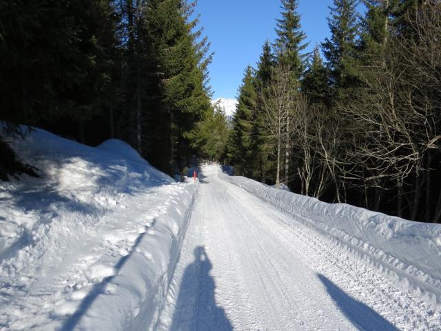 neben der Strasse laufend erreichen wir Schwand 1520 m.ü.M...