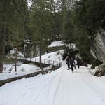 mit vollbepackten Rucksäcken, laufen wir alles der Bergstrasse entlang hinauf Richtung Griesalp