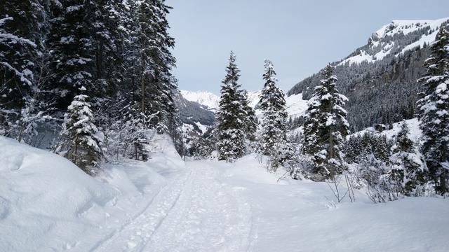 bei Dündenessli 1463 m.ü.M.