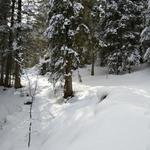 wir durchqueren den Dündenessli Wald