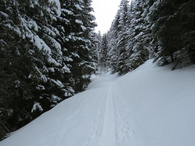 ...durchqueren wieder eine Kehre bei Punkt 1627 m.ü.M...