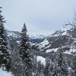 vom höchsten Punkt der Route geniessen wir eine tolle Aussicht in die Bergwelt des Kientals