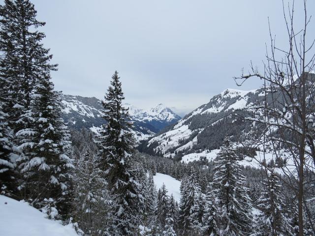 vom höchsten Punkt der Route geniessen wir eine tolle Aussicht in die Bergwelt des Kientals