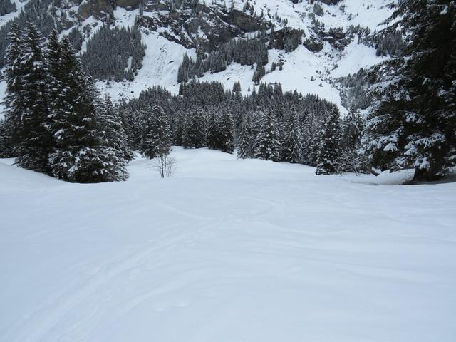 über offenes Gelände führt uns nun der Schneeschuhtrail abwärts Richtung Bundstäg