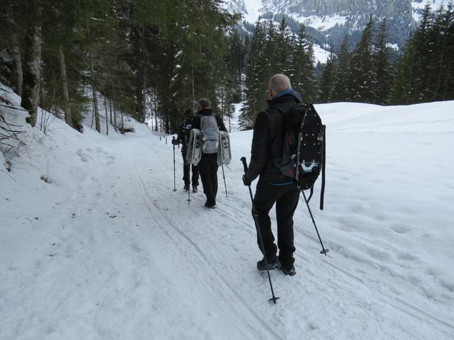 der Trail führt uns nun leicht abwärts...