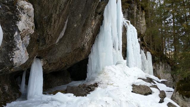 in dieser schattigen engen Schlucht ist praktisch alles in Eis erstarrt