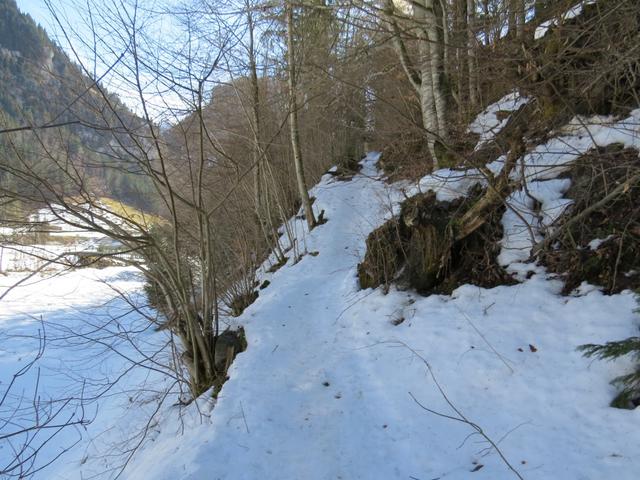 schon bald verlassen wir den Talwanderweg und biegen rechts ab