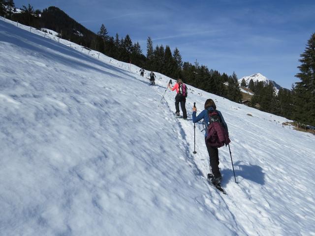 über verschneite Matten gelangen wir steil aufwärts...