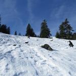 die Schneeschuhroute führt uns nun hinein ins Farnital