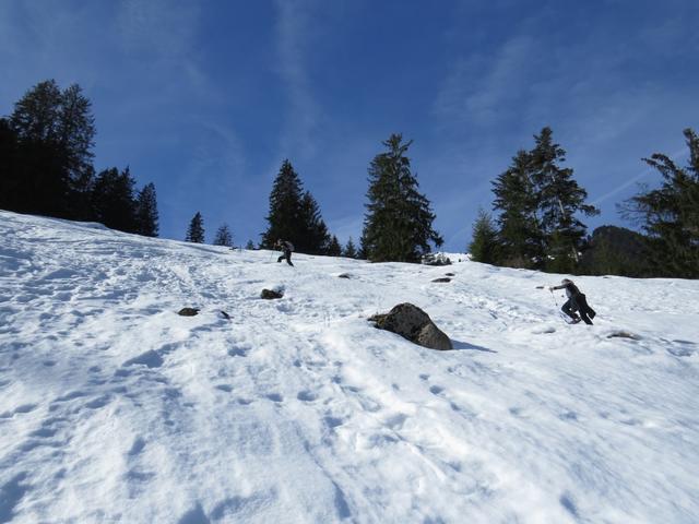 die Schneeschuhroute führt uns nun hinein ins Farnital