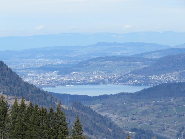 der Thunersee mit der Stadt Thun