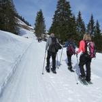 über Obers-Chüematti erreichen wir Chüematti 1375 m.ü.M.