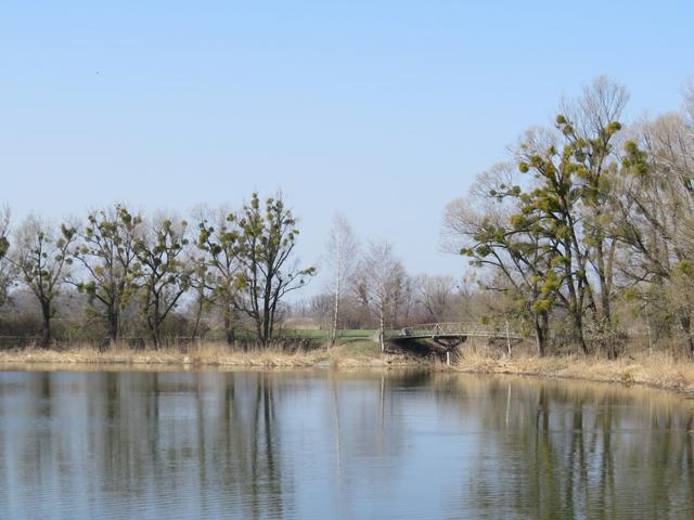 vorbei an einem Fischteich...