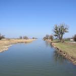 Blick in die Mündung der Dornbirner Ache und den Lustenauer Kanal