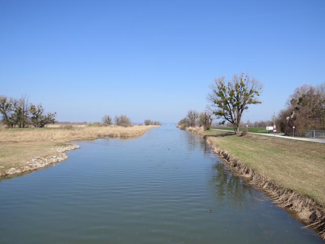 Blick in die Mündung der Dornbirner Ache und den Lustenauer Kanal