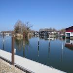 wir erreichen die schöne Ferienhäusersiedlung "in der Schanz" von Fussach. Venedig lässt Grüssen