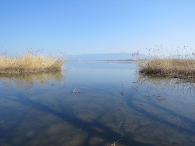 immer wieder schöne Blicke zum Bodensee