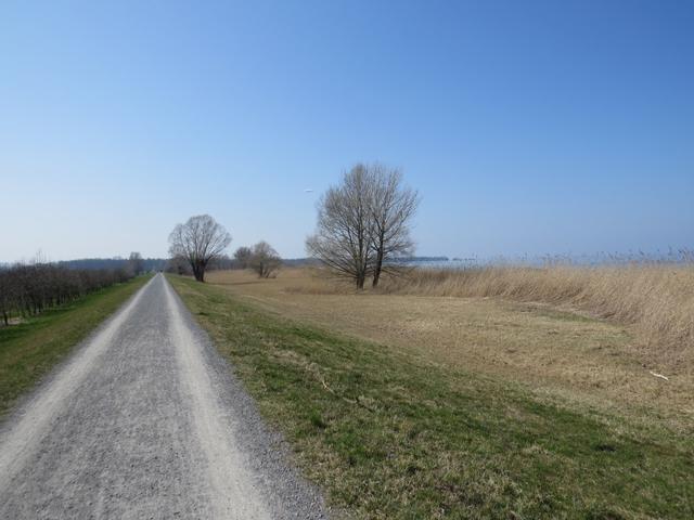 wir lassen das Naturschutzgebiet von Rohrspitz hinter uns, und laufen in die Bucht von Wetterwinkel