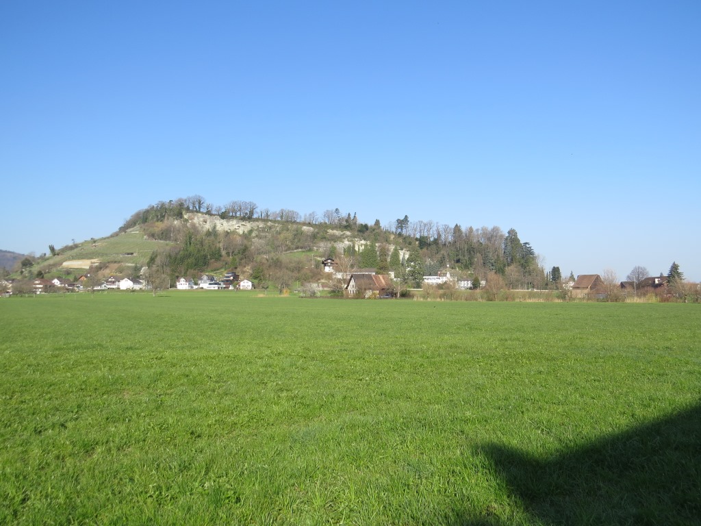 über die grosse Wiese von Rietgass, verlassen wir Rheineck, und blicken hinauf zum Buechberg
