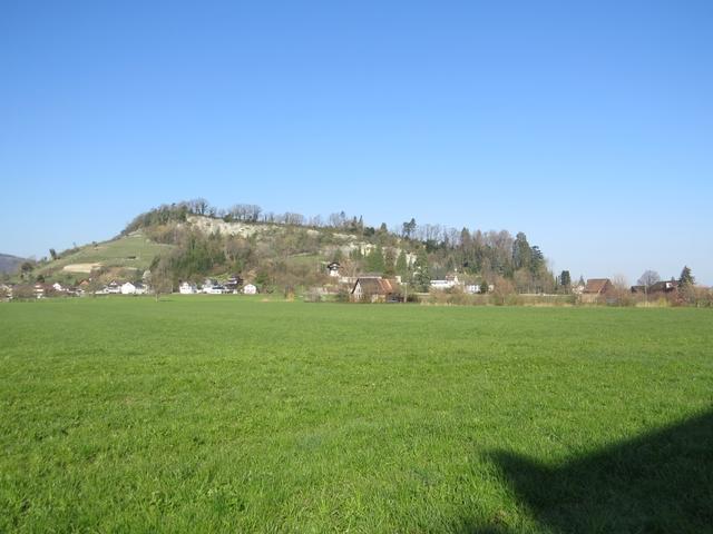 über die grosse Wiese von Rietgass, verlassen wir Rheineck, und blicken hinauf zum Buechberg