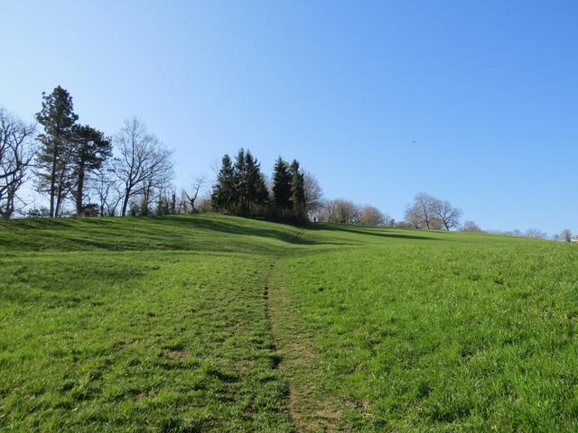 wir lassen den Wald hinter uns, und wandern über Weiden leicht aufwärts