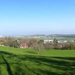 schönes Breitbildfoto mit Blick Richtung Altenrhein und Bodensee