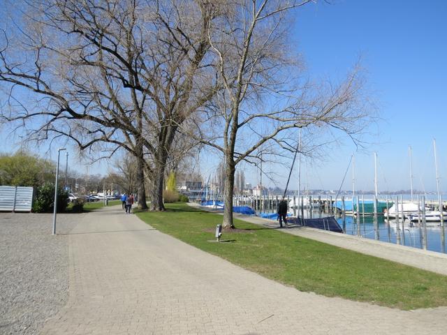 bei der Seepromenade von Rorschach