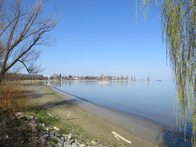 über die Bucht von Arbon blicken wir Richtung Arbon