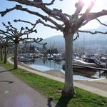 Start an der schönen Seepromenade in Küssnacht am Rigi