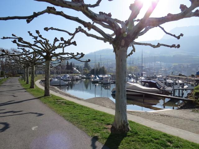 Start an der schönen Seepromenade in Küssnacht am Rigi