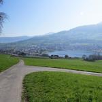 Blick zurück nach Küssnacht am Rigi