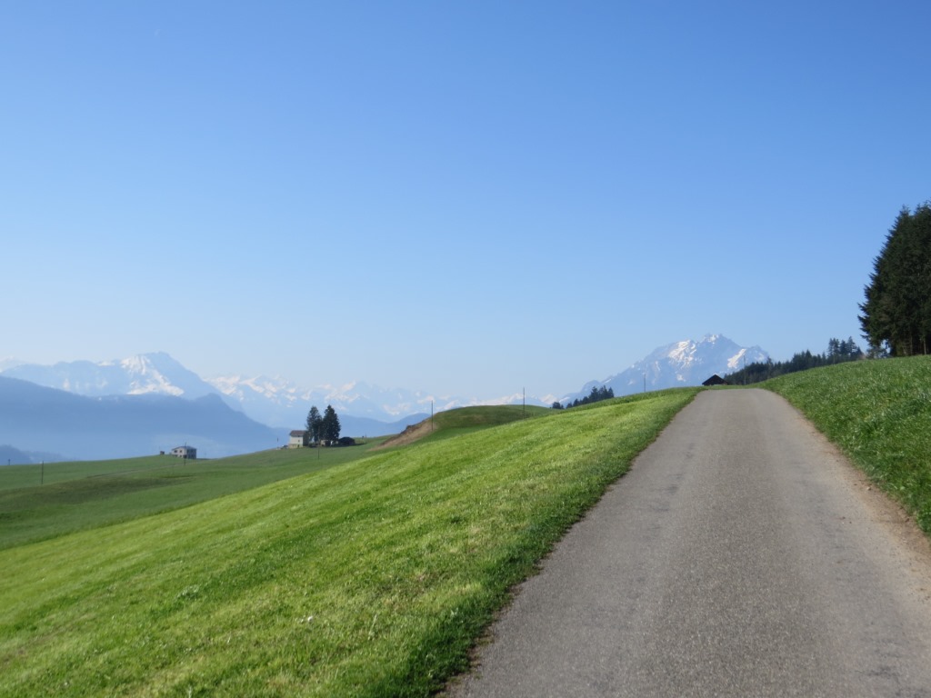 bei Forrenmoos blicken wir auf Stanserhorn, Berner Alpen und Pilatus