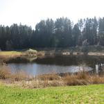 der kleine Weiher bei Wagemoos