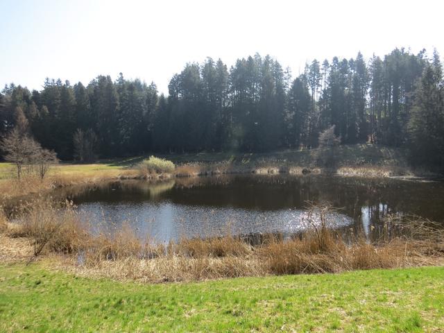 der kleine Weiher bei Wagemoos