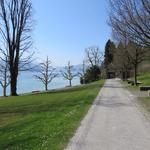 an der schönen Seepromenade entlang geht es Richtung Meggen