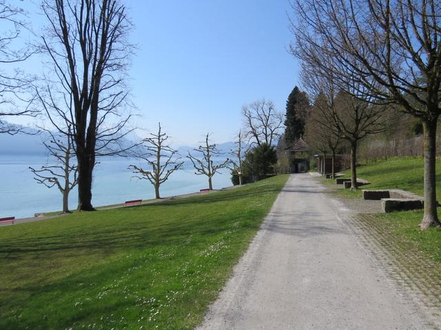 an der schönen Seepromenade entlang geht es Richtung Meggen