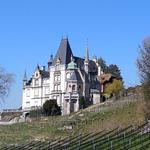 Blick auf Schloss Meggenhorn