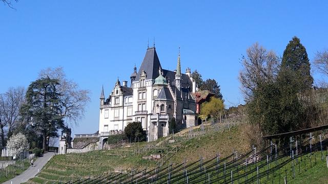 Blick auf Schloss Meggenhorn