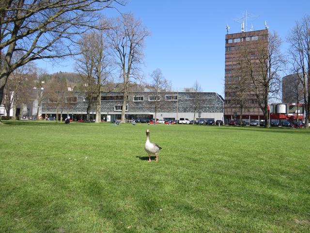 beim Verkehrshaus