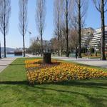 an der sehr schönen Seepromenade entlang, geht es Richtung Altstadt von Luzern